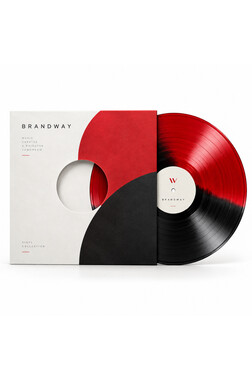 Чистая виниловая пластинка 12″, красно-чёрная, двухцветная, для записи музыки